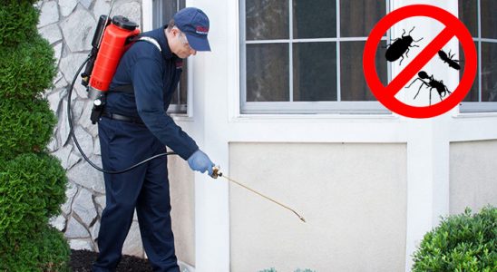 Muğla Karınca İlaçlama böcek ilaçlama ve haşere kontrolü — ilaclama-tr.com
